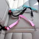 Pet-express seatbelt