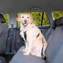 Pet-express seatbelt