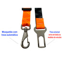 Pet seat belt