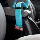 Pet seat belt