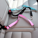 Pet seat belt
